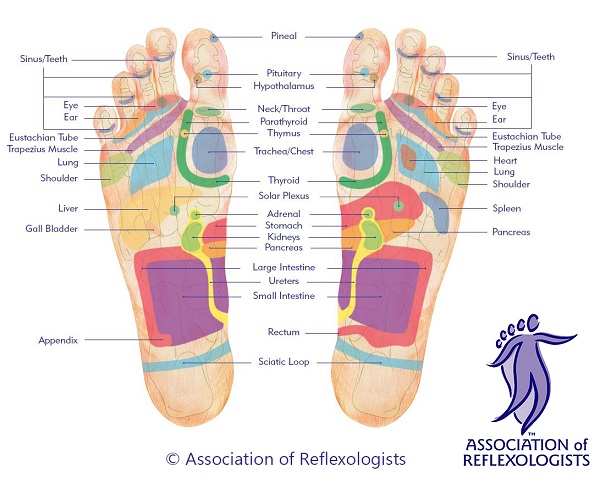 Reflexology